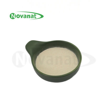 Lactobacillus delbrueckii subsp. bulgaricus LB2 /50billion CFU/g/Vegan/ Free (Allergen/Gluten/Dairy)