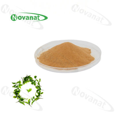 Natural Green Tea L-Theanine 20% / 30% / 40% Natural L-Theanine
