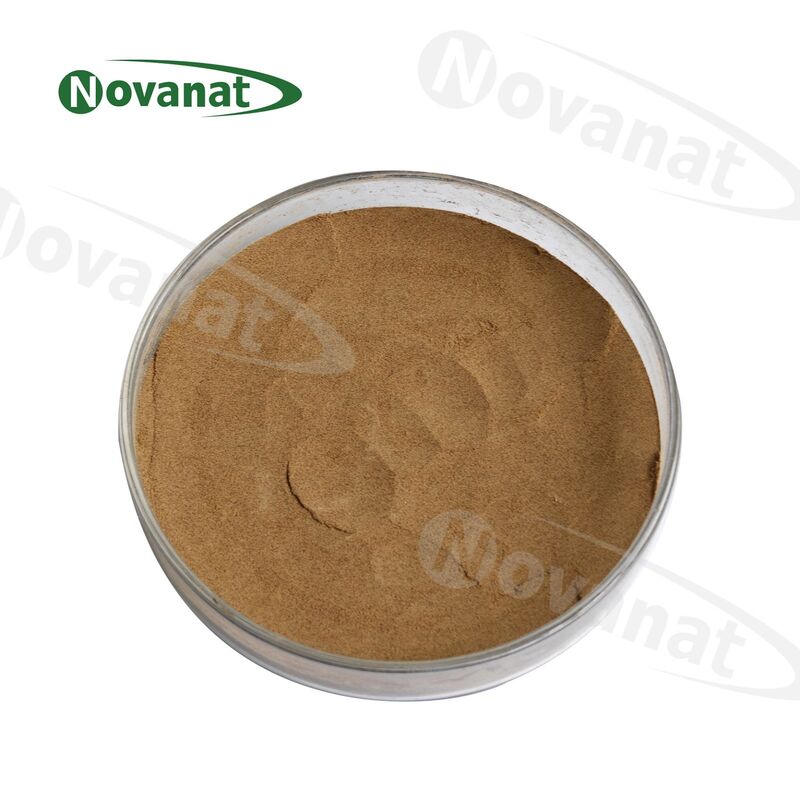 Eucommia Bark Leaf Extract 5% Chlorogenic acid/Clean Label/Allergen Free
