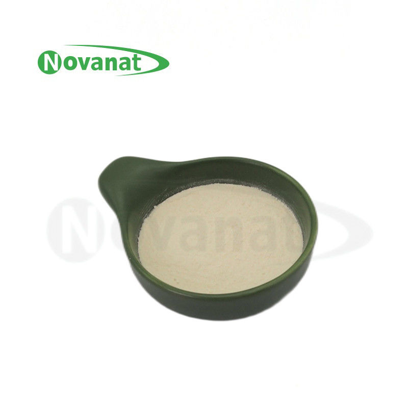 Lactobacillus delbrueckii subsp. bulgaricus LB2 /50billion CFU/g/Vegan/ Free (Allergen/Gluten/Dairy)