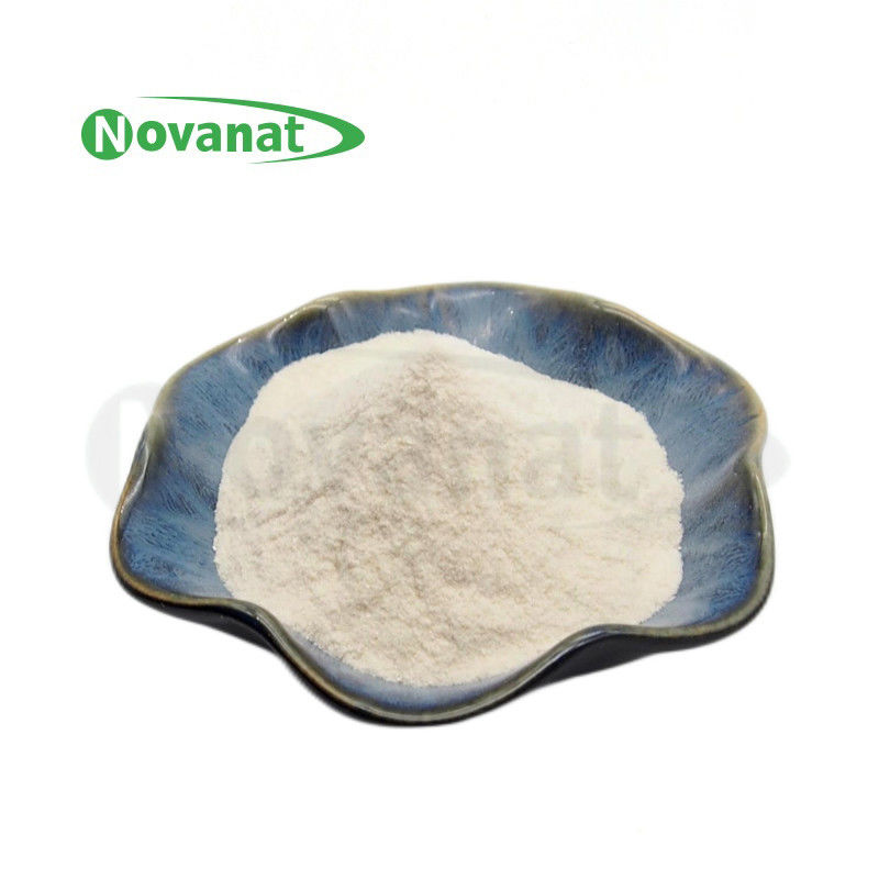 400 Billion Streptococcus salivarius subsp. thermophilus ST6 Probiotic CFU G Vegan Free Allergen