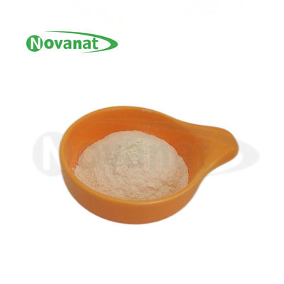 Pediococcus Acidilactici PA10 500 বিলিয়ন CFU/g প্রোবায়োটিক পাউডার ভেগান/অ্যালার্জেন মুক্ত/গ্লুটেন মুক্ত/দুগ্ধমুক্ত