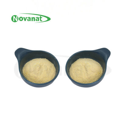 Lactiplantibacillus plantarum LP-Only Postbiotics Powder Tyndallized / Vegan / অ্যালার্জেন মুক্ত / গ্লুটেন মুক্ত / দুগ্ধ মুক্ত